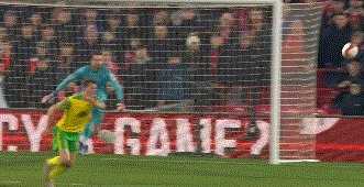 1646257243769062473.gif 动画 (1498).gif